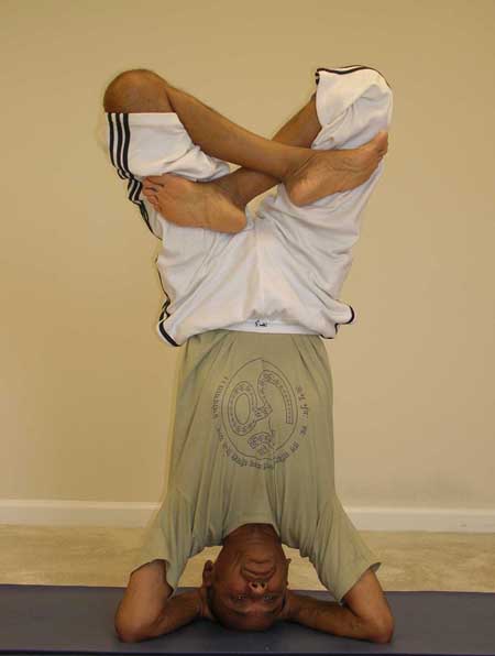 Iyenga Yoga Sequences and Poses | Desa Yogi Iyengar Yoga